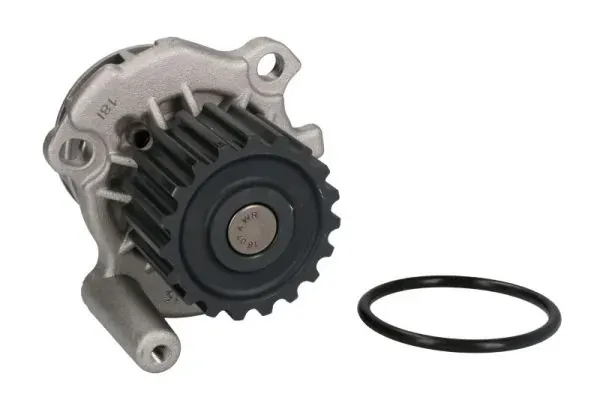 Помпа D1A024TT Thermotec