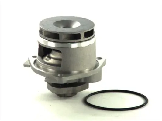Помпа D1X028TT Thermotec