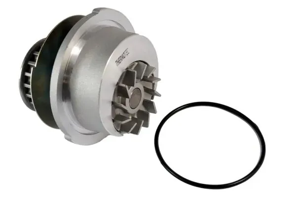 Помпа D1X022TT Thermotec