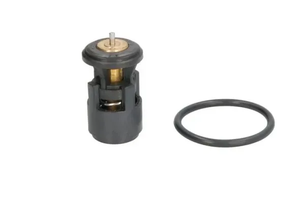 Термостат D2A005TT Thermotec