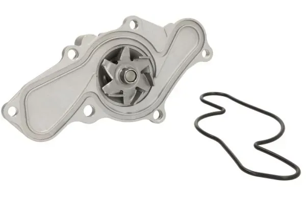 Помпа D13025TT Thermotec