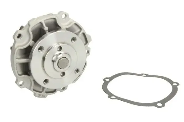 Помпа D1Y029TT Thermotec