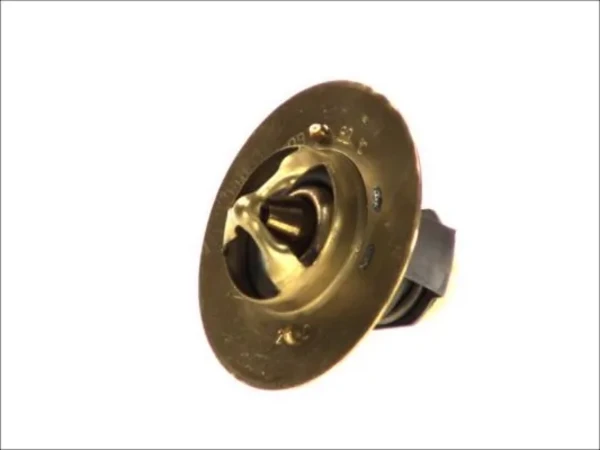 Термостат D2DA003TT Thermotec