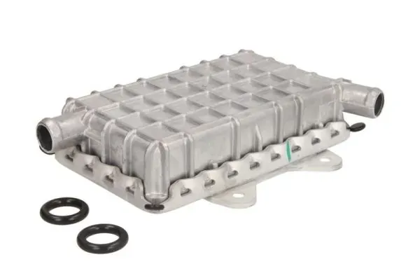 Радіатор масляний D4M001TT Thermotec