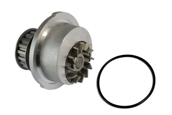 Помпа D1X009TT Thermotec