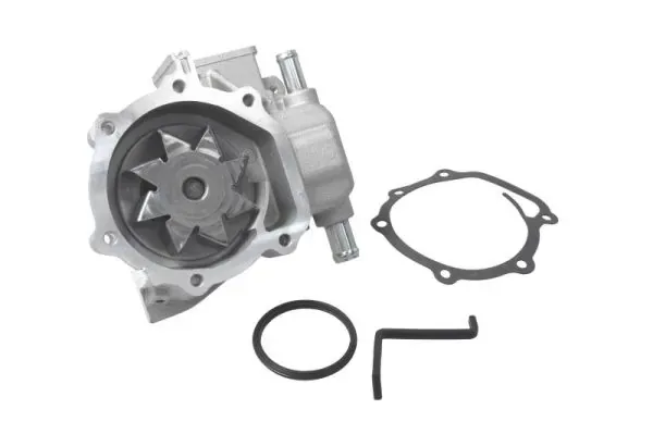 Помпа D17016TT Thermotec