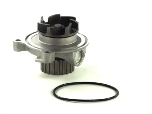 Помпа D1A027TT Thermotec