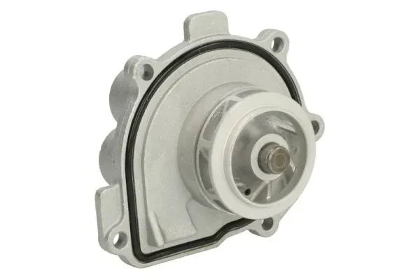 Помпа D1X047TT Thermotec