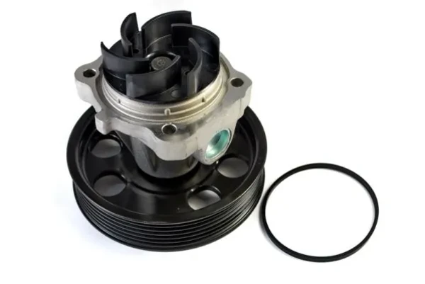 Помпа D1F074TT Thermotec