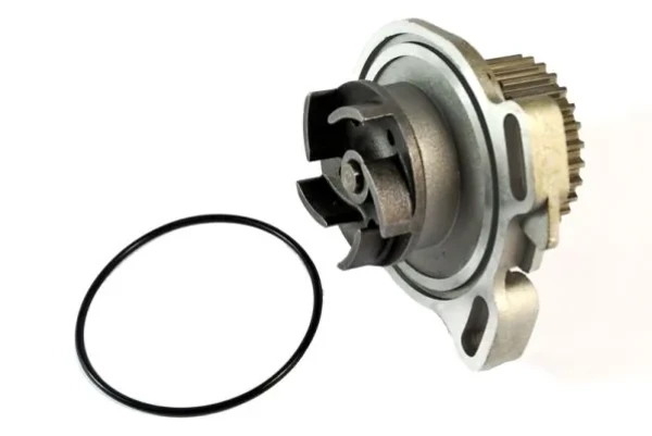 Помпа D1A010TT Thermotec