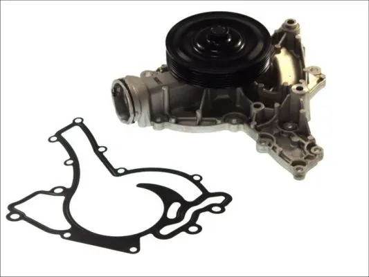 Помпа D1M050TT Thermotec