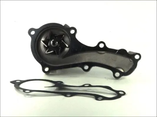 D11069TT Thermotec Насос охолодження