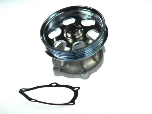 Помпа D12071TT Thermotec