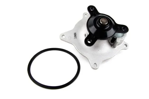 Помпа D1Y006TT Thermotec