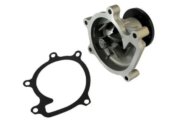 Помпа D12074TT Thermotec