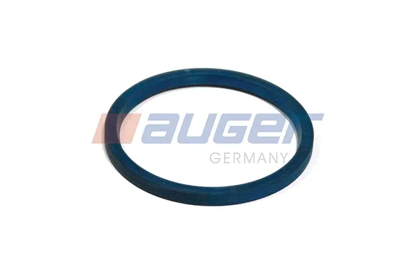  54879 Auger