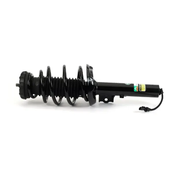  SK3393 Arnott