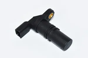 55276 ASAM