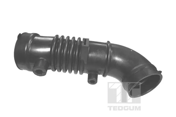  00396364 Ted-gum
