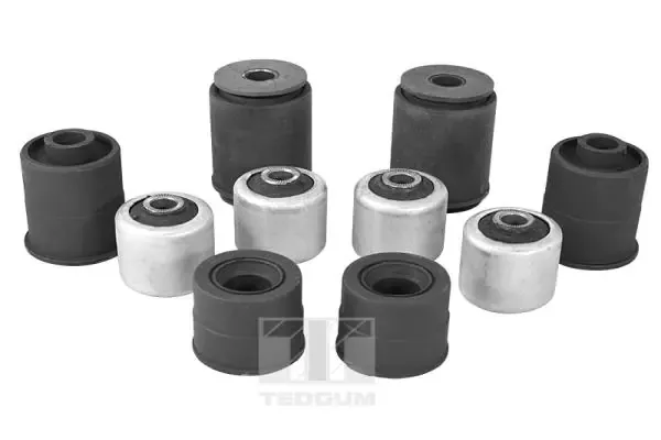  1141099 Ted-gum