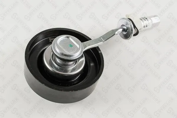 Натяжний ролик 1192531U04 Renault (RVI)