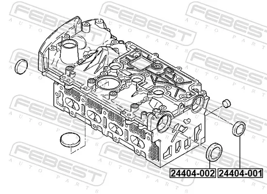 Заглушка головки блока на Renault Scenic I JA0, JA1, FA0