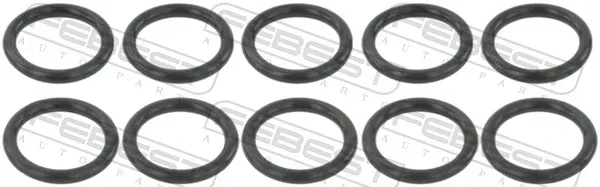 Кільце форсунки RINGFL023PCS10 Febest