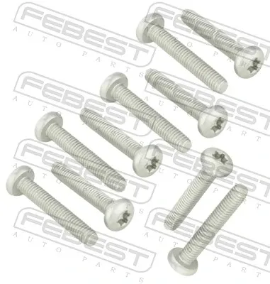 Болт клапанної кришки ГБЦ 2398002PCS10 Febest