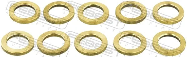 Кільце форсунки RINGFL025PCS10 Febest