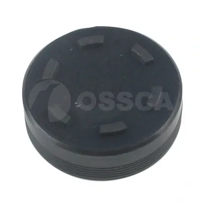 Заглушка блоку циліндрів 17880 Ossca