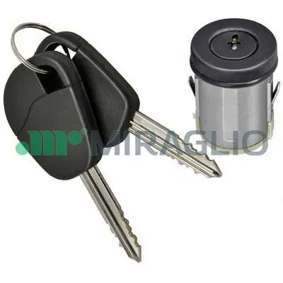 Личинка замка дверей передньої MMS0296 Magneti Marelli