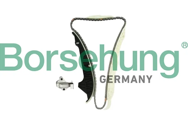 Комплект ланцюга ГРМ B10203 Borsehung