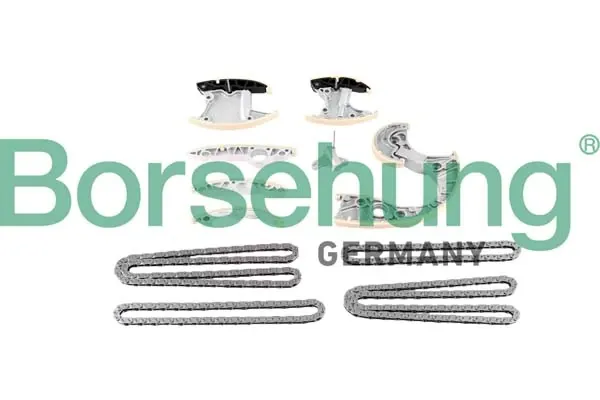 Комплект ланцюга ГРМ B12735 Borsehung