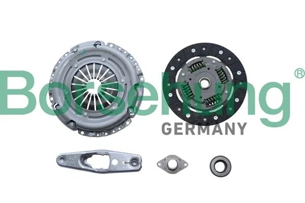 Зчеплення B10916 Borsehung