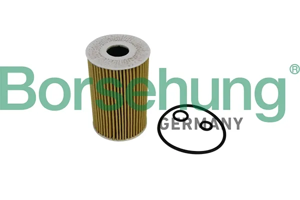 Масляний фільтр B10535 Borsehung