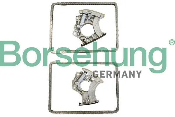 Комплект ланцюга ГРМ B10243 Borsehung