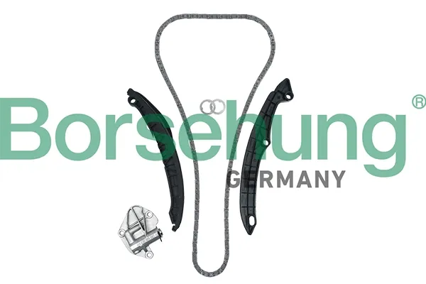 Комплект ланцюга ГРМ B19229 Borsehung