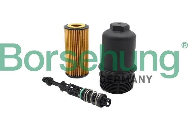 Кришка масляного фільтра B10435 Borsehung