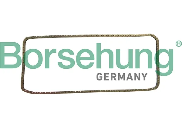 Ланцюг ГРМ B1C029 Borsehung