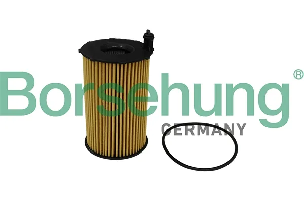 Масляний фільтр B10540 Borsehung