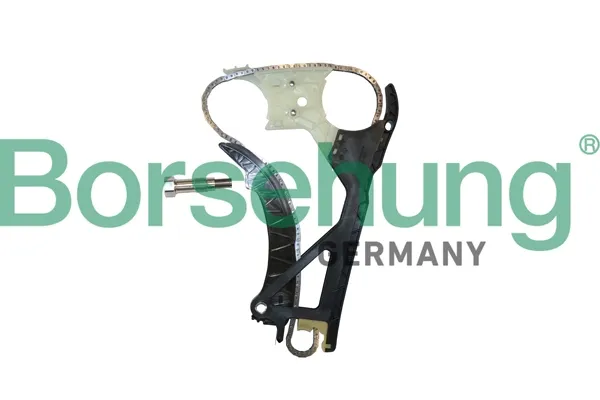 Комплект ланцюга ГРМ B10224 Borsehung