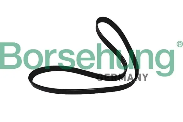Ремінь генератора B12386 Borsehung