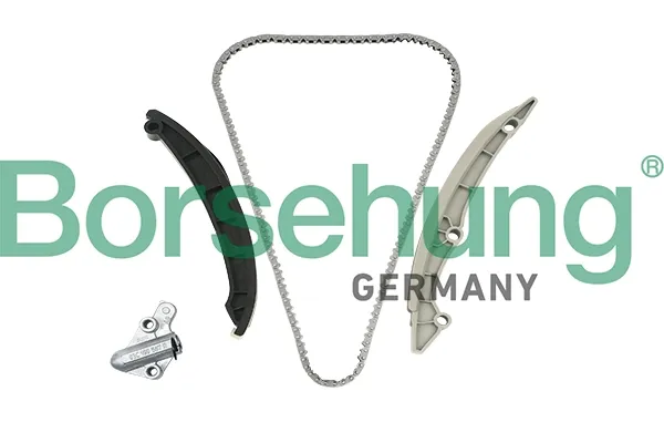 Комплект ланцюга ГРМ B18982 Borsehung