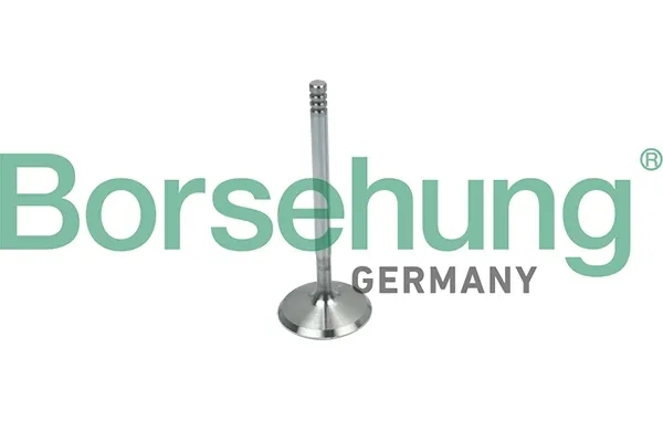 Клапан впускний B19018 Borsehung