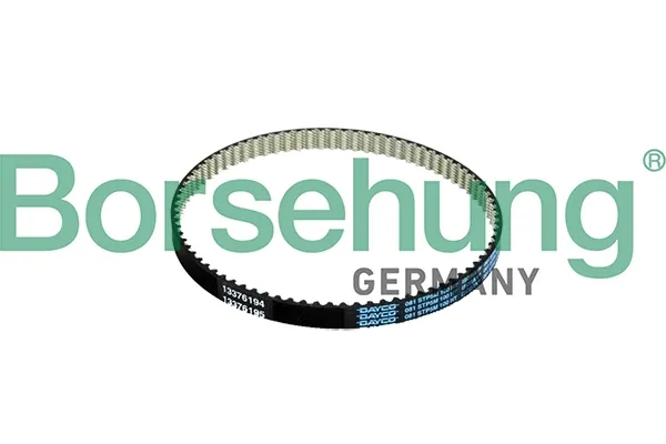 Ремінь ГРМ B10234 Borsehung