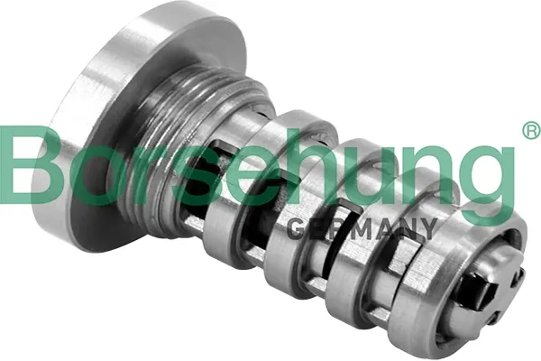 Клапан фазорегулятора B12694 Borsehung