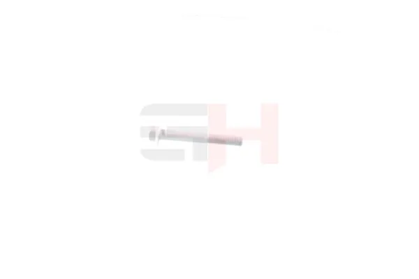 Болт кріплення амортизатора переднього GH391549 GH
