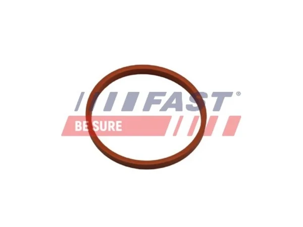 Кільце ущільнювача патрубка интеркуллера FT48932 Fast