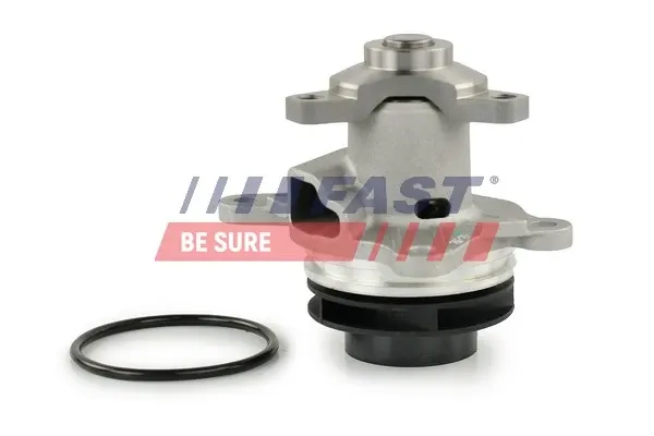 Помпа FT57196 Fast