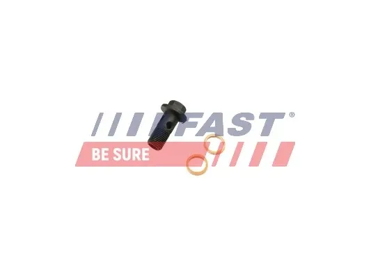 Болт трубки турбіни подачі масла FT38931 Fast